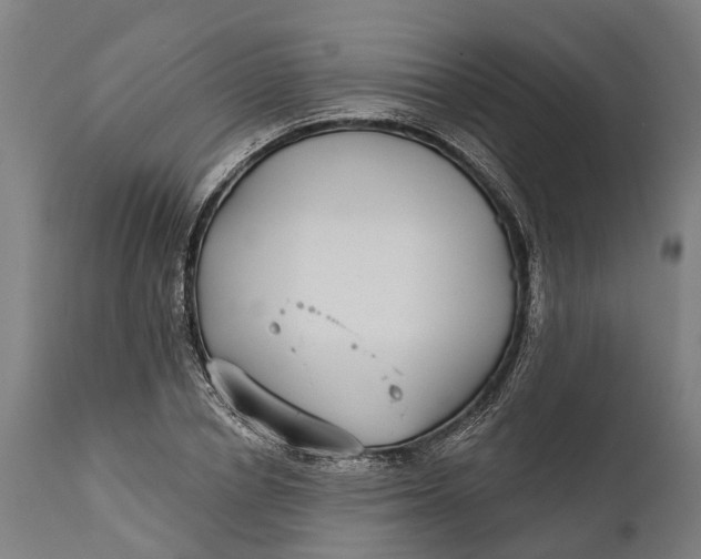 X0000111590834200908061347