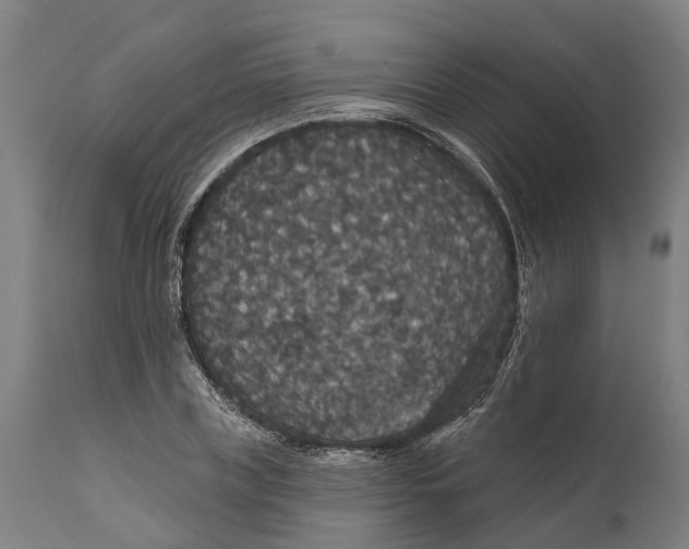 X0000111590835200908061347