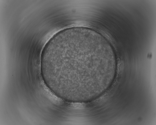 X0000111590836200908061347