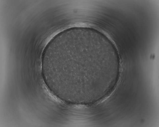 X0000111590837200908061347