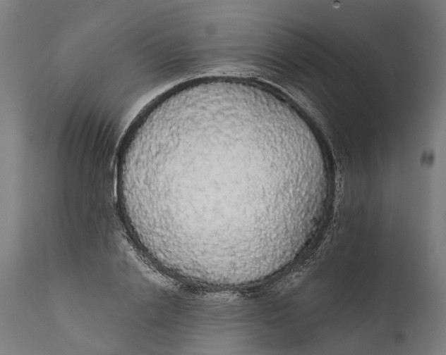 X0000111590838200908061347