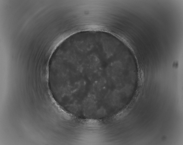 X0000111590839200908061347