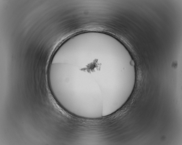 X0000111590840200908061347