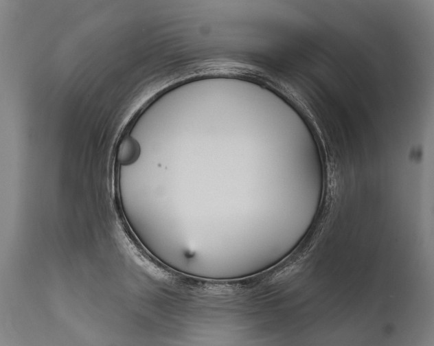 X0000111590843200908061347