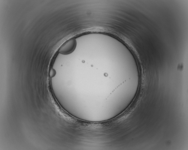 X0000111590845200908061347