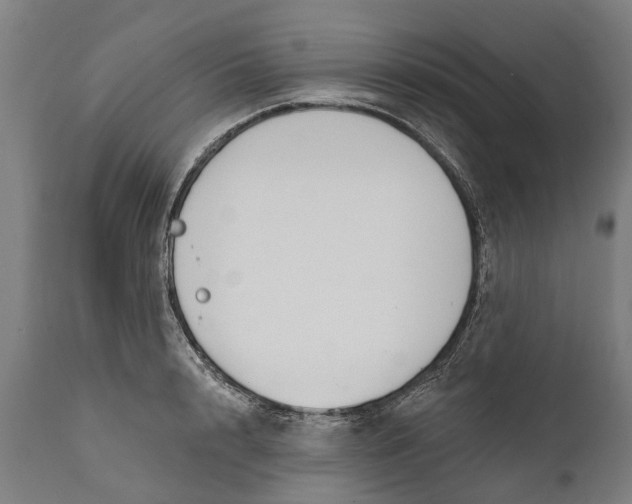 X0000111590848200908061347