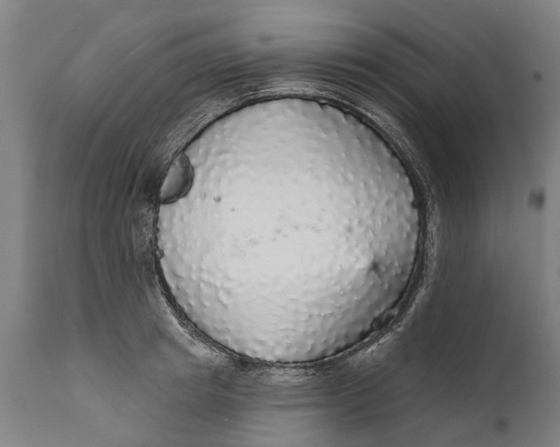 X0000111590849200908061347