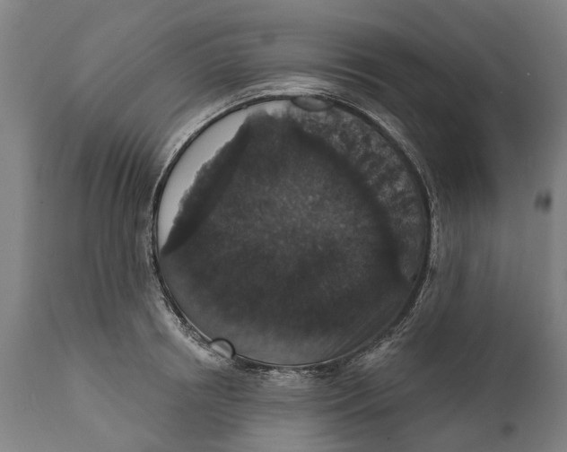 X0000111590850200908061347