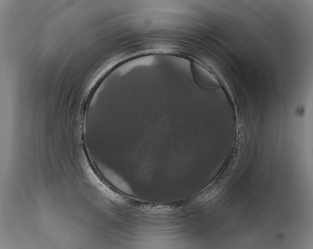 X0000111590851200908061347