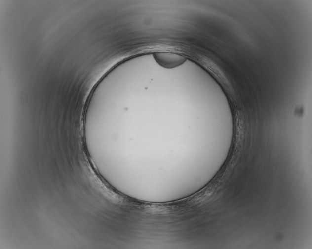 X0000111590852200908061347