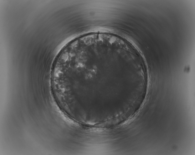 X0000111590853200908061347