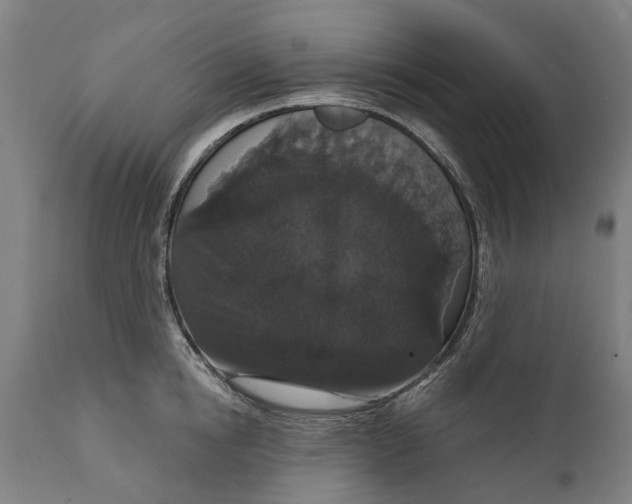 X0000111590854200908061348