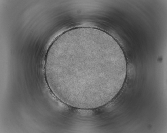 X0000111590856200908061348