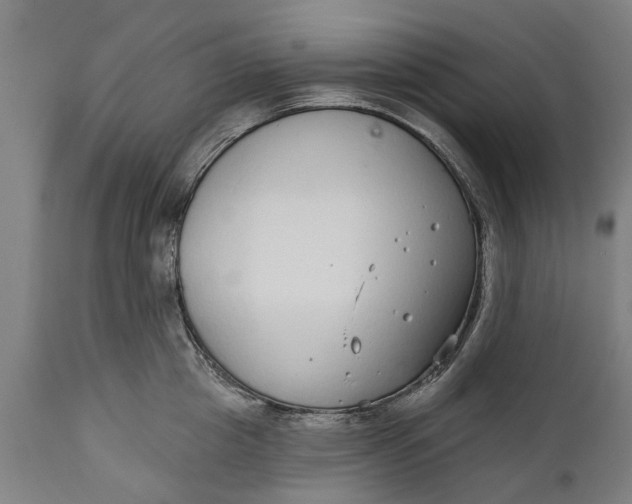 X0000111590857200908061348