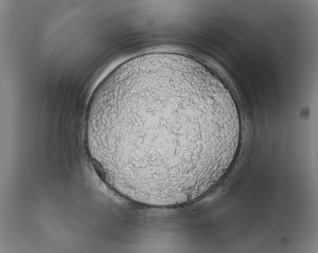 X0000111590860200908061348