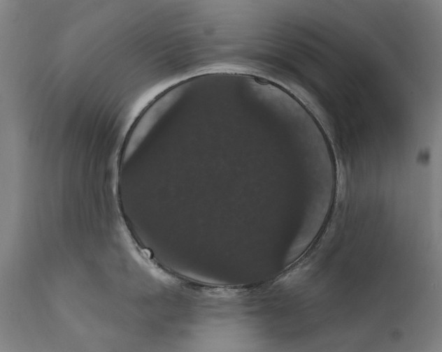 X0000111590862200908061348