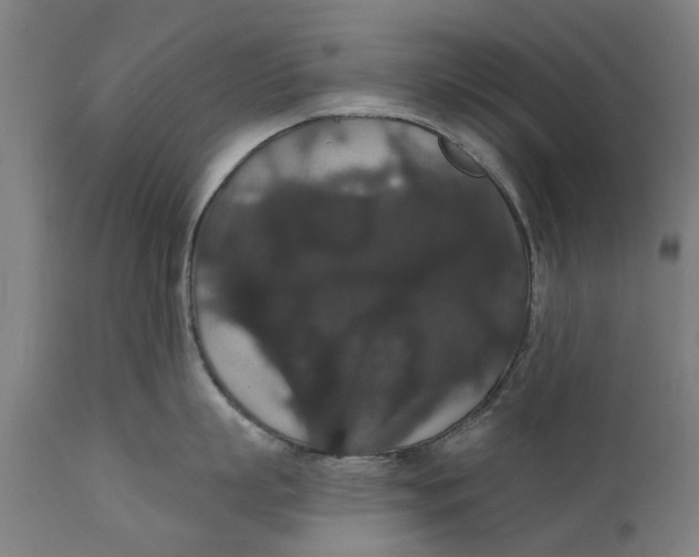 X0000111590863200908061348