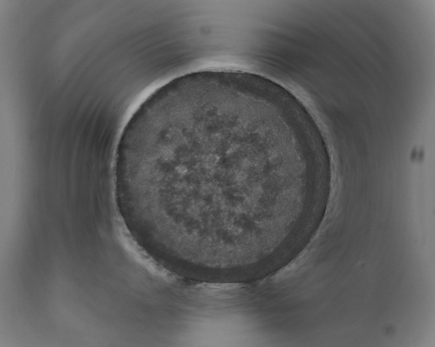 X0000111590864200908061348