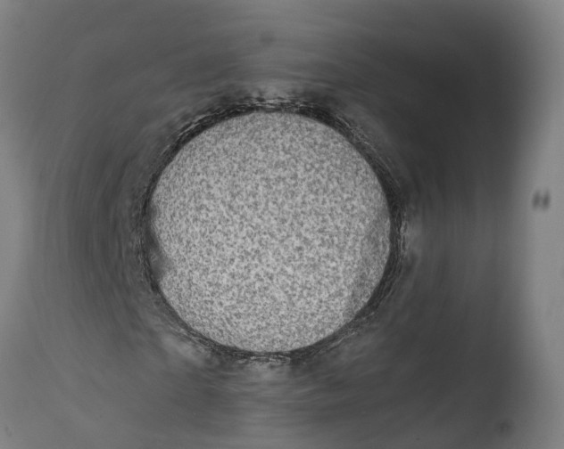 X0000111590865200908061347