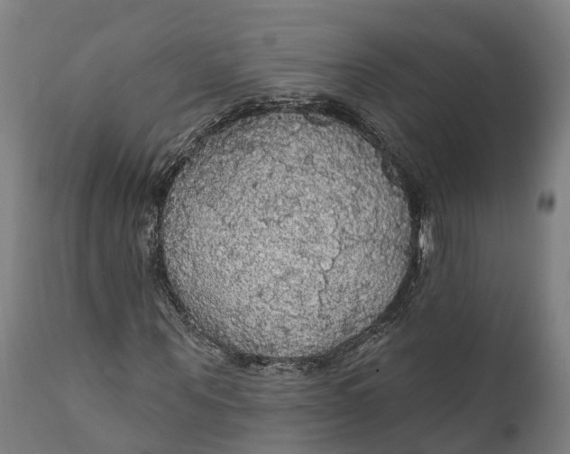 X0000111590867200908061347