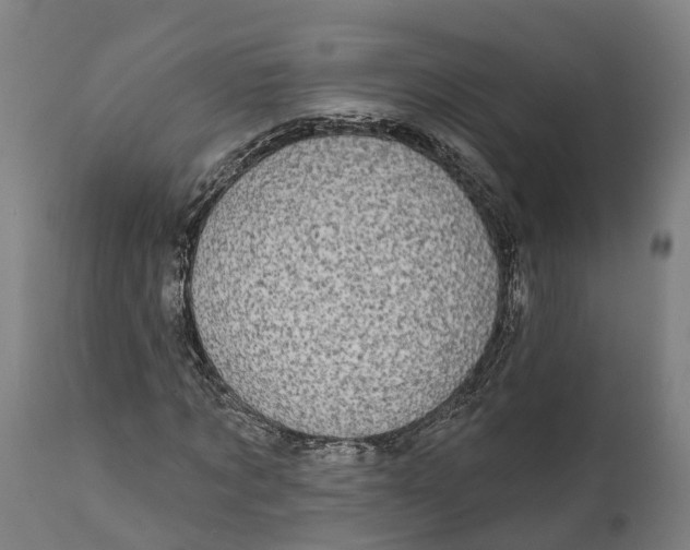 X0000111590869200908061347