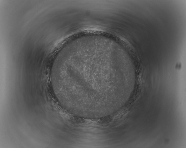 X0000111590870200908061347