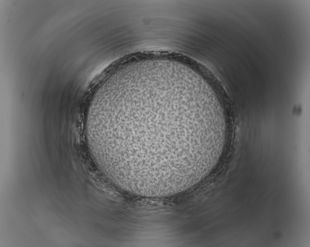 X0000111590871200908061347