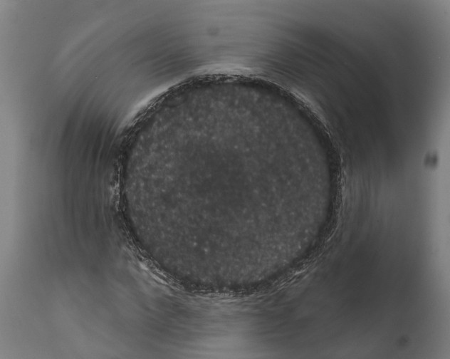 X0000111590872200908061347