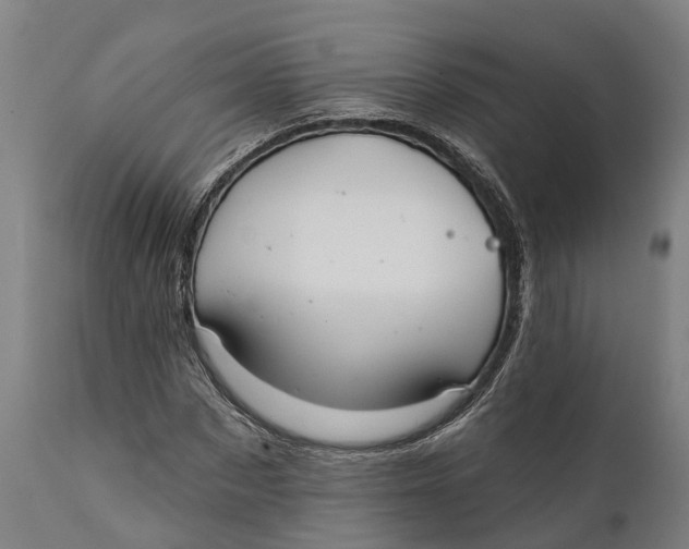 X0000111590873200908061347