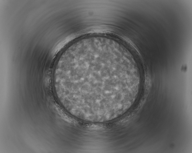 X0000111590874200908061347