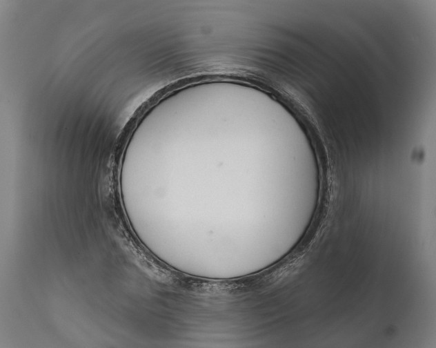 X0000111590875200908061347