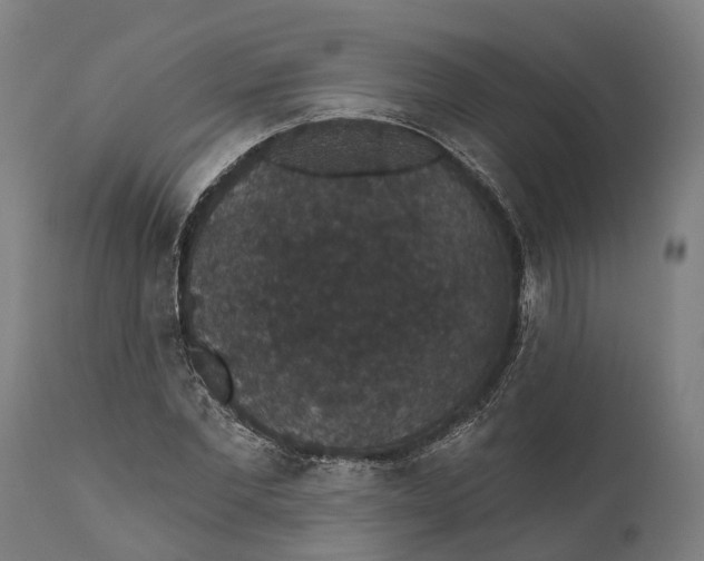 X0000111590877200908061347