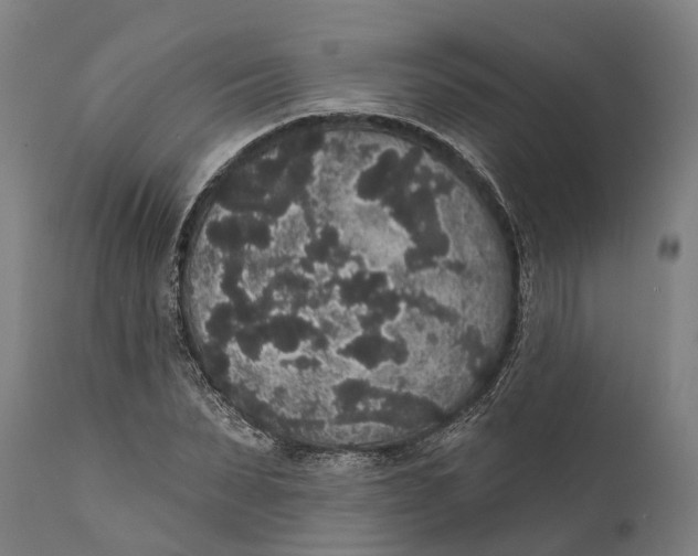 X0000111590879200908061347