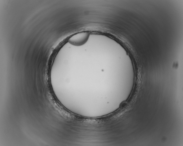 X0000111590880200908061347