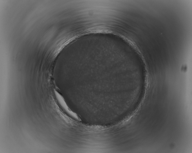 X0000111590881200908061347