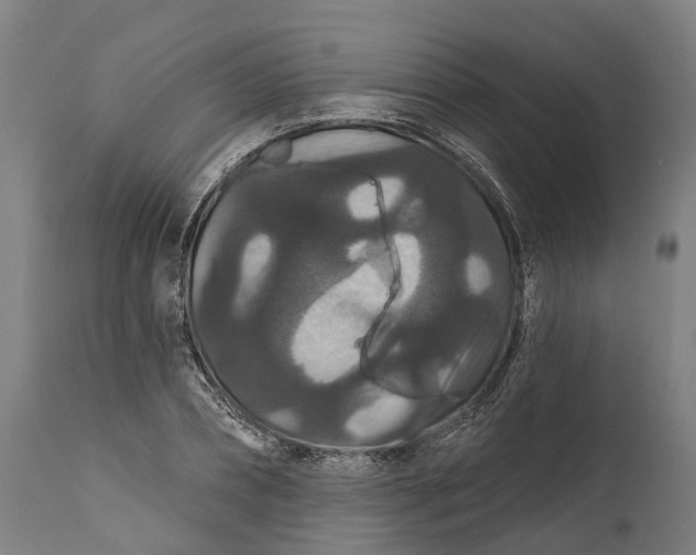 X0000111590882200908061347