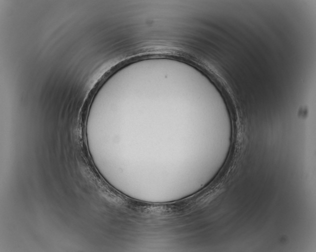 X0000111590883200908061347