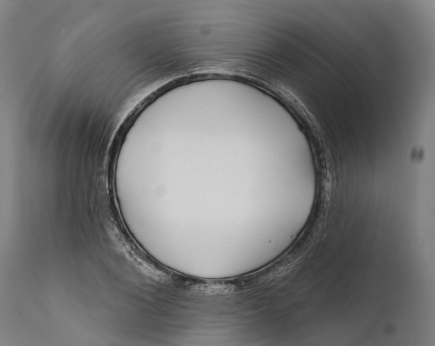 X0000111590884200908061347