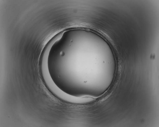 X0000111590885200908061347