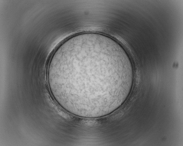 X0000111590886200908061347