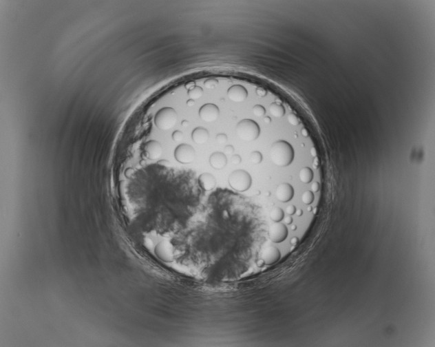 X0000111590887200908061347