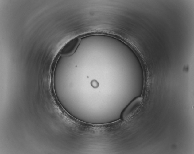 X0000111590888200908061347