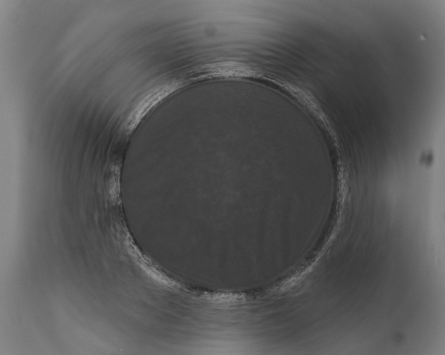 X0000111590889200908061347