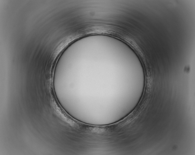 X0000111590890200908061347