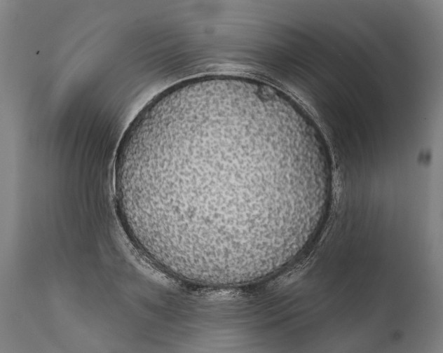 X0000111590891200908061347