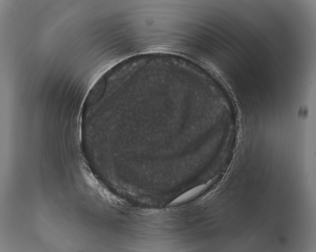 X0000111590892200908061347