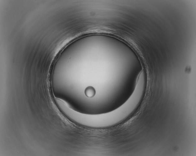 X0000111590893200908061347