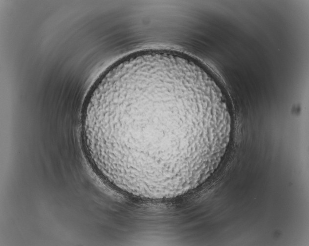 X0000111590895200908061347