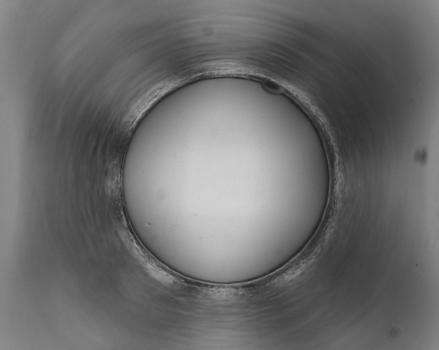 X0000111590897200908061347