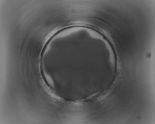 X0000111590899200908061347